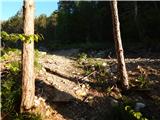 Col - Križna gora above Col